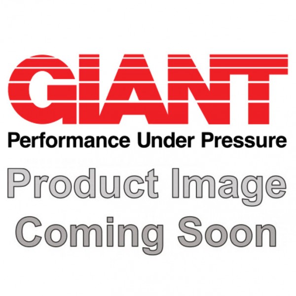 Giant 09164-0011 Seal Kit (18mm) P200, Viton