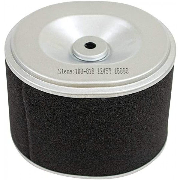 Stens 100-818 Air Filter w/ Foam Pre-filter