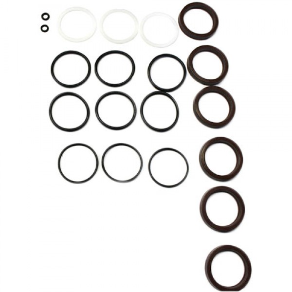 Cat 76118 Seal Kit For 66PPX40GG1 & 67PPX39G1I Pumps