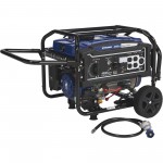 Powerhorse 750134.POW Dual Fuel Generator, 4000 Surge Watts, 3240 Rated Watts, Electric Start
