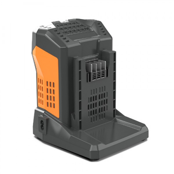 Sunseeker CGB6055 Rapid Charger 5.5A / Single Battery 297W