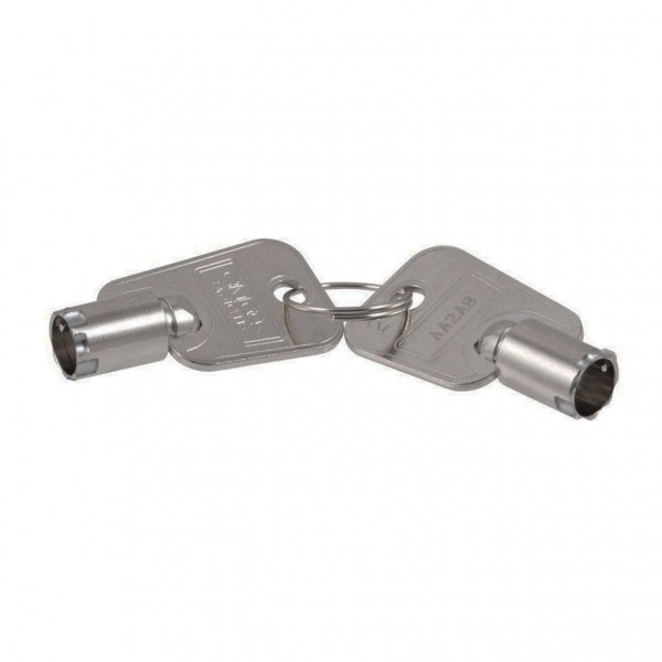 JLG PTNM341 Key; E-Stop (pair)