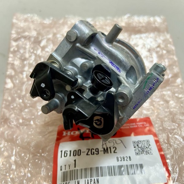 Honda OEM 16100-ZG9-M12 Carburetor