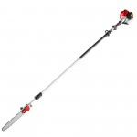 Redmax PSTZ260S Pole Saw, 1.27 hp (970450001)