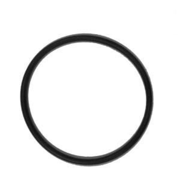 Chapin 6-2521-4 Replacement O-Ring PTFE -347